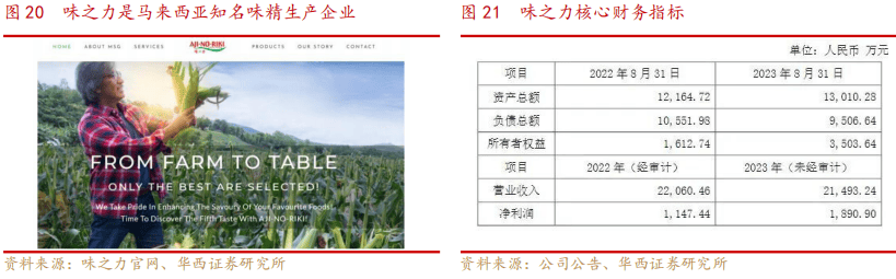 深度报告：调味品业务重焕生机开拓算力打造第二曲线麻将胡了电子游戏味动视界 【华西食品】莲花控股(图11)