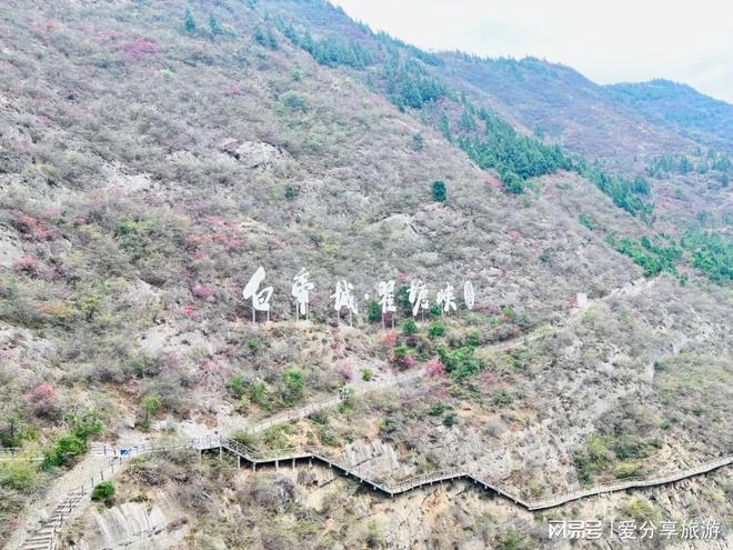 指南：跟团重庆5天玩转山城解锁秘境！麻将胡了试玩第一次去川渝必看的旅游(图2)